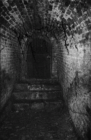 Virulent Specter : Condemned to the Rotting Twilight of Hateful Spirits Not at Rest